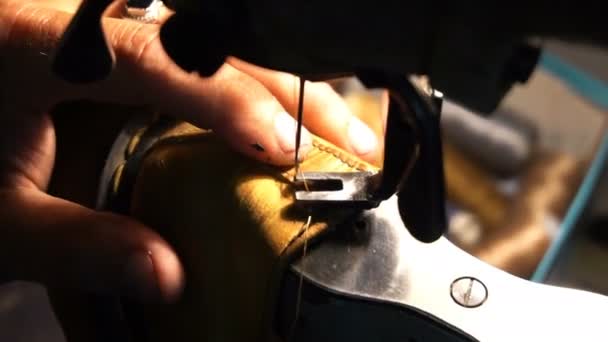 Shoemaker repairing shoes. Workshop — Stock Video