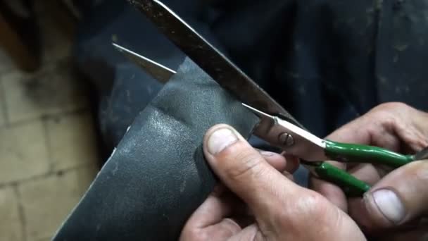 Le cordonnier découpe un patch pour chaussures — Video