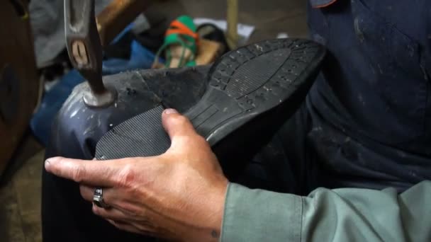Skomakare reparera en sko i verkstad 4k spika hälen locket till hälen — Stockvideo
