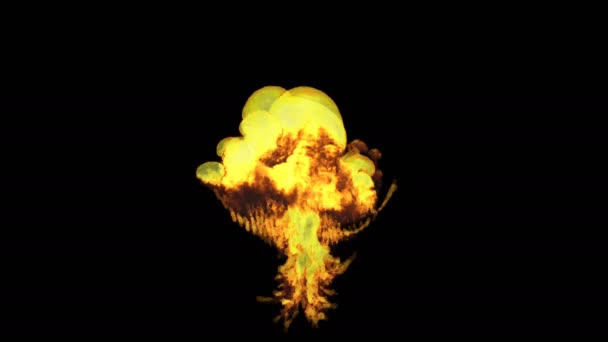Son derece gerçekçi yangın patlama ile duman — Stok video