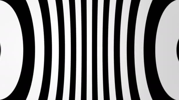 Абстрактный фон с черно-белыми линиями — стоковое видео
