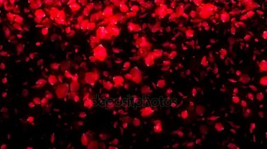 Gül yaprakları siyah arka plan üzerine düşen