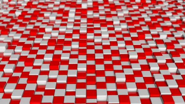 Kırmızı ve beyaz arka plan blok kareler — Stok video