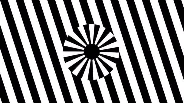 Abstract Black and White stripes. 3d rendering seamless loop — Stock Video