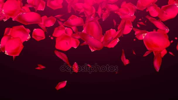 Falling Rose Petals on black background — Stock Video