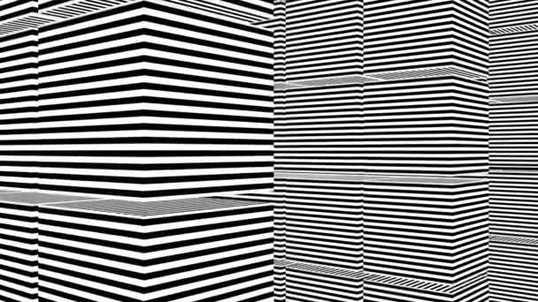 Abstract background with black and white stripes — Stock Video