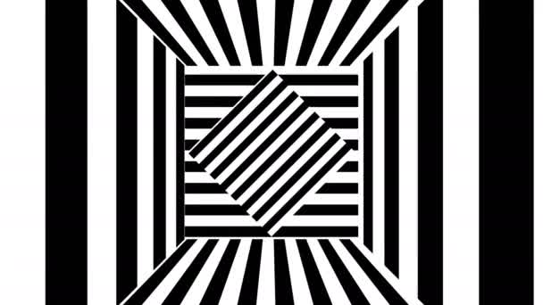 Abstrakter Hintergrund mit schwarzen und weißen Streifen — Stockvideo