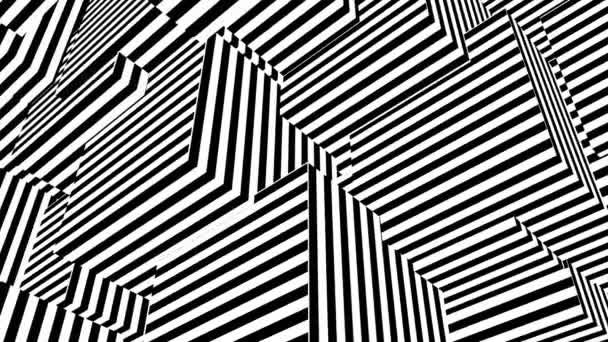 Abstract background with black and white stripes — Stock Video