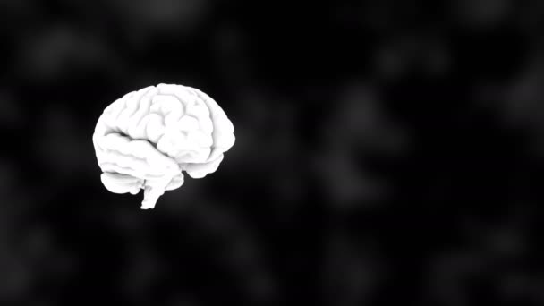 Cerveau blanc humain 3D sur fond noir, anatomie scientifique, rendu 3D — Video