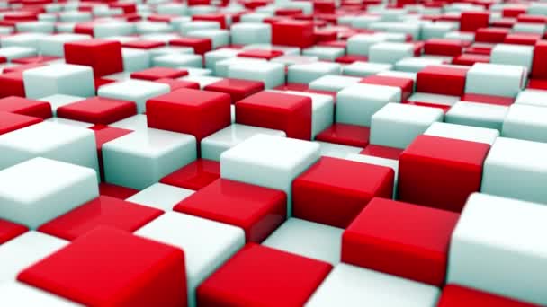 3d arrière-plan de rendu de cubes blancs et rouges situés à différents niveaux. Zone abstraite générée par ordinateur . — Video