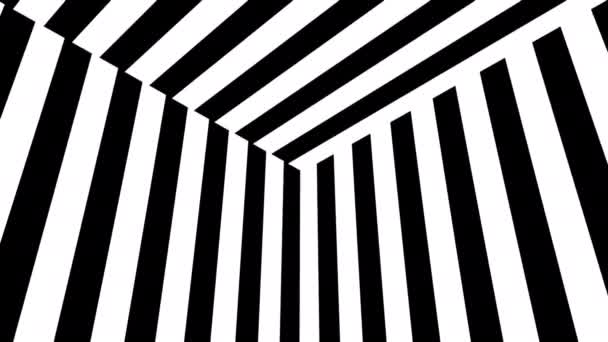 Black and white stripes. Computer generated abstract background, 3D render — Stock Video