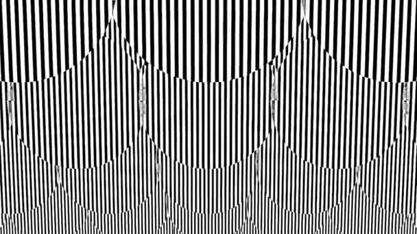 Black and white stripes. Computer generated abstract background, 3D render — Stock Video