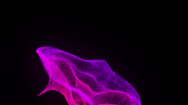 Computer generated movement of color particles of fluid on a black background. 3d rendering abstract background — Stok video