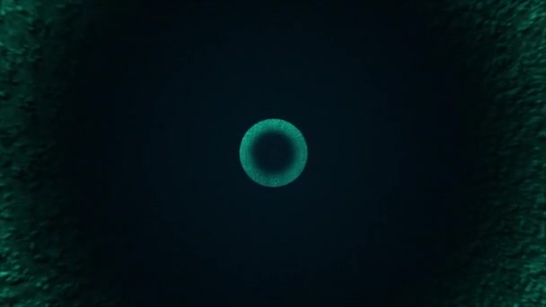 计算机产生同心圆色彩斑斓.3D抽象背景绘制 — 图库视频影像