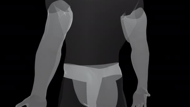 Μοντέλο του ανθρώπινου σώματος από το κεφάλι μέχρι τα δάχτυλα των ποδιών, υπολογιστή που παράγεται. 3D καθιστώντας διαφανή ανδρική φιγούρα. Το ψηφιακό υπόβαθρο — Αρχείο Βίντεο
