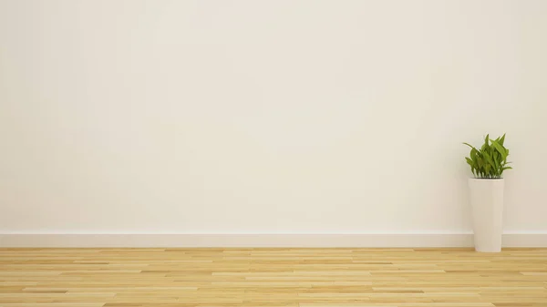Saksı o ahşap zemin beyaz oda-3d render içinde
