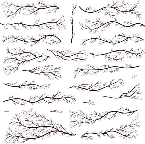 Vintage Gotik rustik tasarım öğeleri kümesi. Çiçek vektör çerçeve