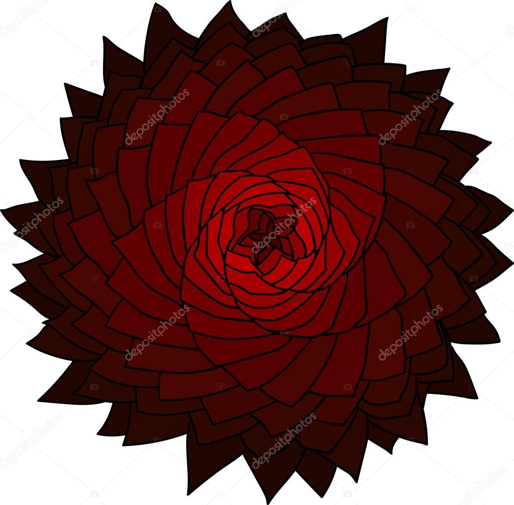Fractal red flower. Vector rose. Abstract star design element.