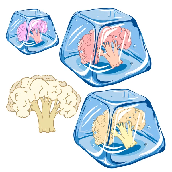 Vektor gefrorener Blumenkohl in Eiswürfel isoliert auf weißem Hintergrund Folge 8. — Stockvektor