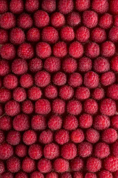 Raspberries, berries, raspberries, garden, seasonal berries, summer, sweet berries, berries on the table — Stock Photo, Image