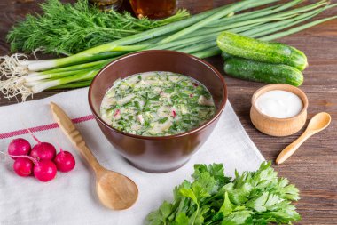 Okroshka, Kvas, salatalık, yeşil soğan, Rus Mutfağı, soğuk çorba, çorba, yaz gıda,