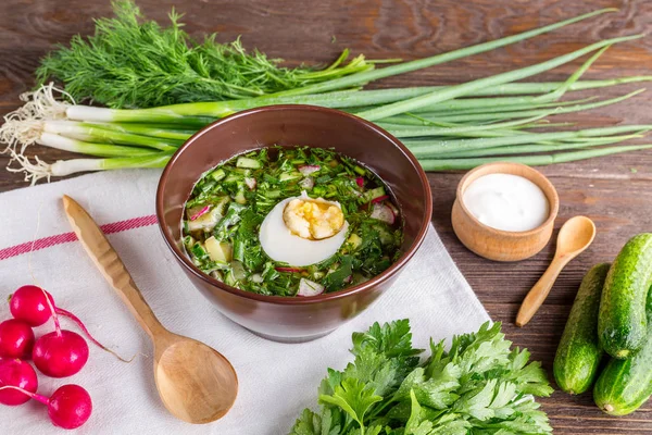 Okroshka, kvass, castraveți, ceapă verde, bucătărie rusească, supă rece, supă, mâncare de vară , — Fotografie, imagine de stoc