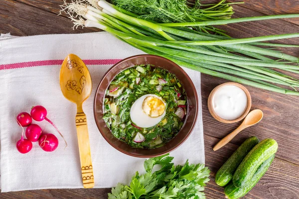 Okroshka, svagdricka, gurka, salladslök, ryska köket, kall soppa, soppa, sommarmat, — Stockfoto