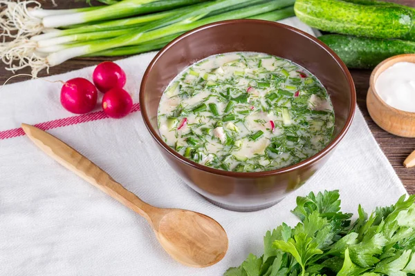 Okrosjka, kvas, komkommers, groene uien, Russische keuken, koude soep, soep, zomer voedsel, — Stockfoto