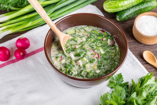 Okrosjka, kvas, komkommers, groene uien, Russische keuken, koude soep, soep, zomer voedsel, — Stockfoto