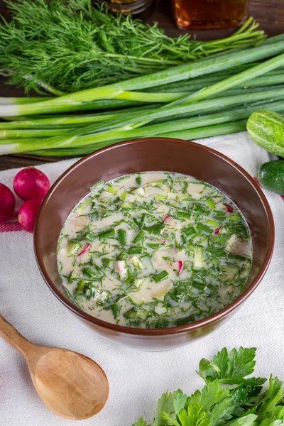 Okroshka, svagdricka, gurka, salladslök, ryska köket, kall soppa, soppa, sommarmat, — Stockfoto