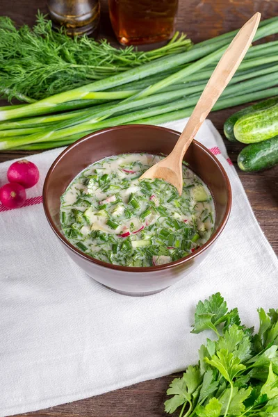 Okroshka, kvass, pepinos, cebollas verdes, cocina rusa, sopa fría, sopa, comida de verano , —  Fotos de Stock