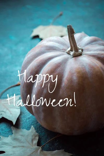 Mutlu Cadılar Bayramı, kabak, kartpostal, Sonbahar, sonbahar yaprakları, Cadılar Bayramı, tatil, Cadılar, korku, gece azizlerin