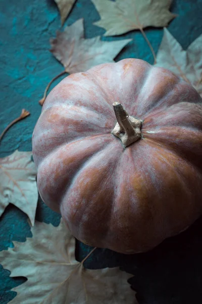 Mutlu Cadılar Bayramı, kabak, kartpostal, Sonbahar, sonbahar yaprakları, Cadılar Bayramı, tatil, Cadılar, korku, gece azizlerin