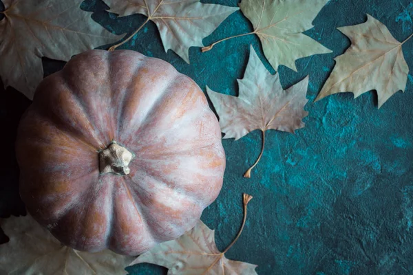 Mutlu Cadılar Bayramı, kabak, kartpostal, Sonbahar, sonbahar yaprakları, Cadılar Bayramı, tatil, Cadılar, korku, gece azizlerin