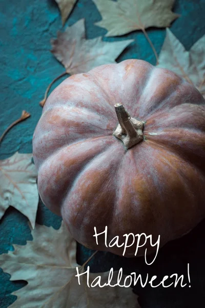 Mutlu Cadılar Bayramı, kabak, kartpostal, Sonbahar, sonbahar yaprakları, Cadılar Bayramı, tatil, Cadılar, korku, gece azizlerin