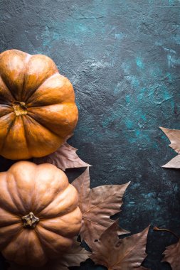 Kabak, Cadılar Bayramı, Bütün Azizler gece, gece, korku, Sonbahar, Ekim, kartpostal, mutlu Cadılar Bayramı