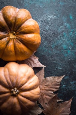 Kabak, Cadılar Bayramı, Bütün Azizler gece, gece, korku, Sonbahar, Ekim, kartpostal, mutlu Cadılar Bayramı