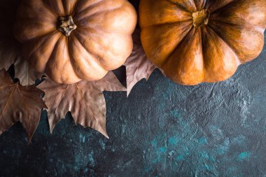 Kabak, Cadılar Bayramı, Bütün Azizler gece, gece, korku, Sonbahar, Ekim, kartpostal, mutlu Cadılar Bayramı