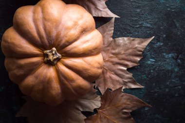 Kabak, Cadılar Bayramı, Bütün Azizler gece, gece, korku, Sonbahar, Ekim, kartpostal, mutlu Cadılar Bayramı