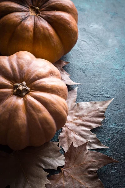 Zucca, Halloween, Ognissanti, Notte, Horror, Autunno, Ottobre, Cartolina, Buon Halloween — Foto Stock