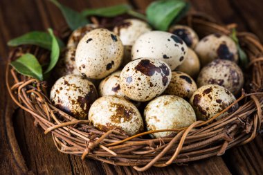 bıldırcın yumurtası, yuva, ahşap arka plan