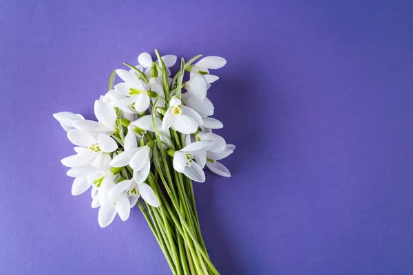 Gouttes Neige Sur Fond Lilas — Photo