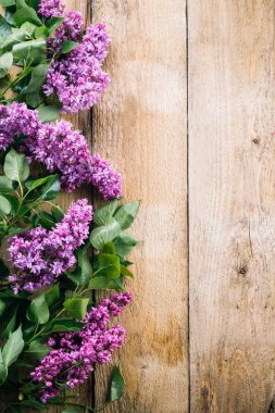 ahşap arka plan, çiçek açan leylaklar, eski panoları, kartpostal, Bahar leylak dallarda