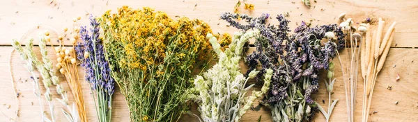 Harvesting medicinal herbs, alternative medicine, Ayurveda, dried flowers — Stock Photo, Image