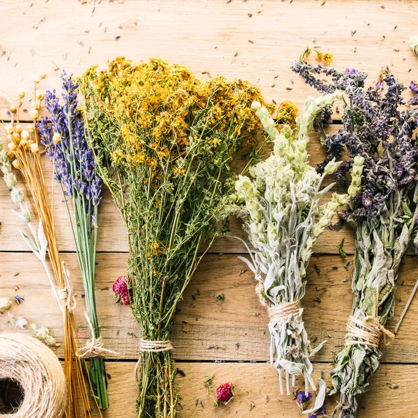 Sklizeň léčivých bylin, alternativní medicína, Ájurvéda, sušené květiny — Stock fotografie