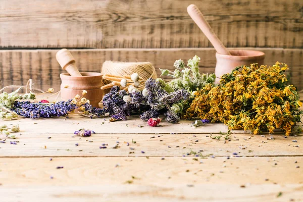 Raccolta di erbe medicinali, medicina alternativa, Ayurveda, fiori secchi — Foto Stock