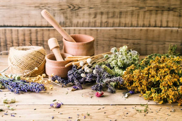 Harvesting medicinal herbs, alternative medicine, Ayurveda, dried flowers — Stock Photo, Image