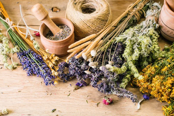 Raccolta di erbe medicinali, medicina alternativa, Ayurveda, fiori secchi — Foto Stock