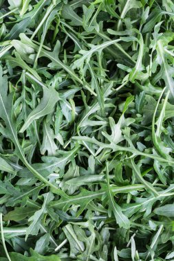Fresh arugula, salad greens, background