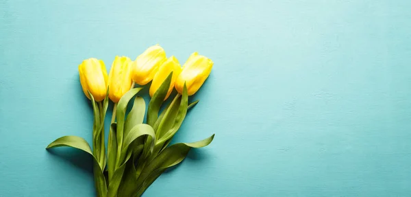 Tulipes jaunes sur fond de bois bleu, bouquet de fleurs, bannière horizontale, espace de copie — Photo